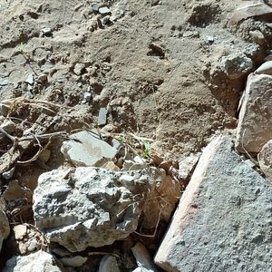 Meet your Posher, Sanjay